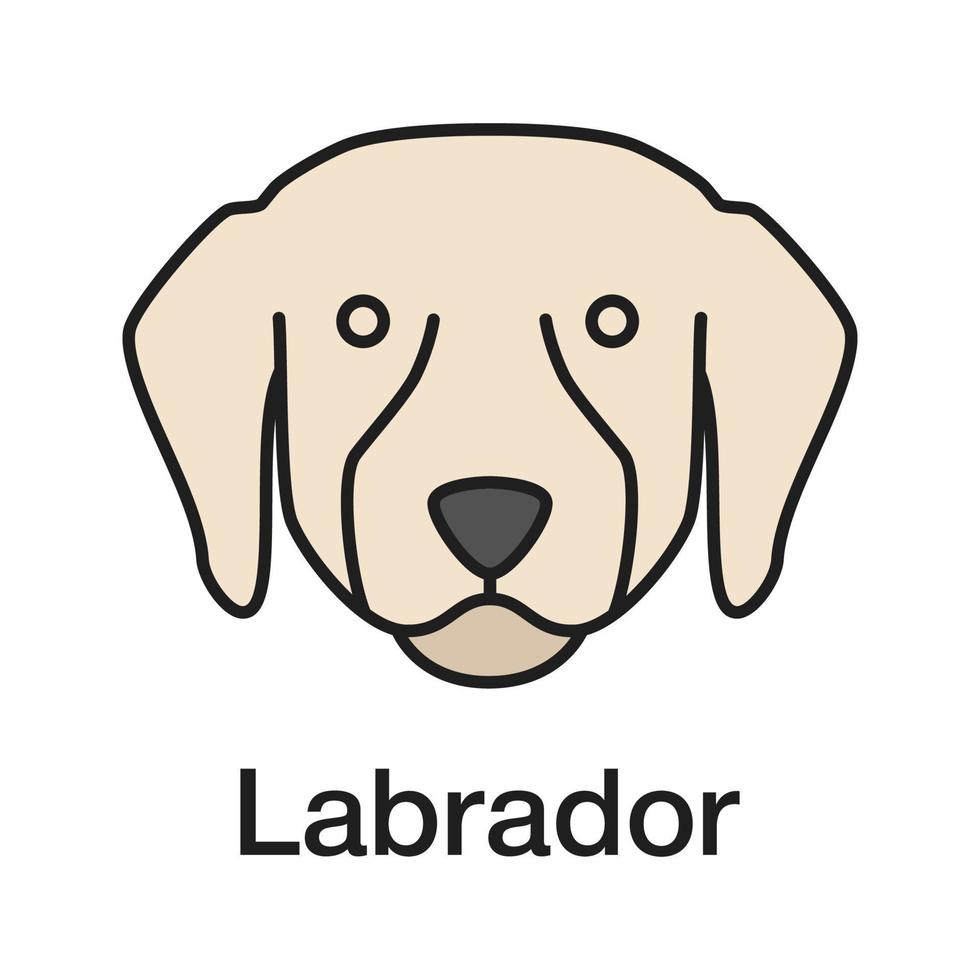 icono de color de labrador retriever. laboratorio. raza de perro guía. ilustración vectorial aislada vector