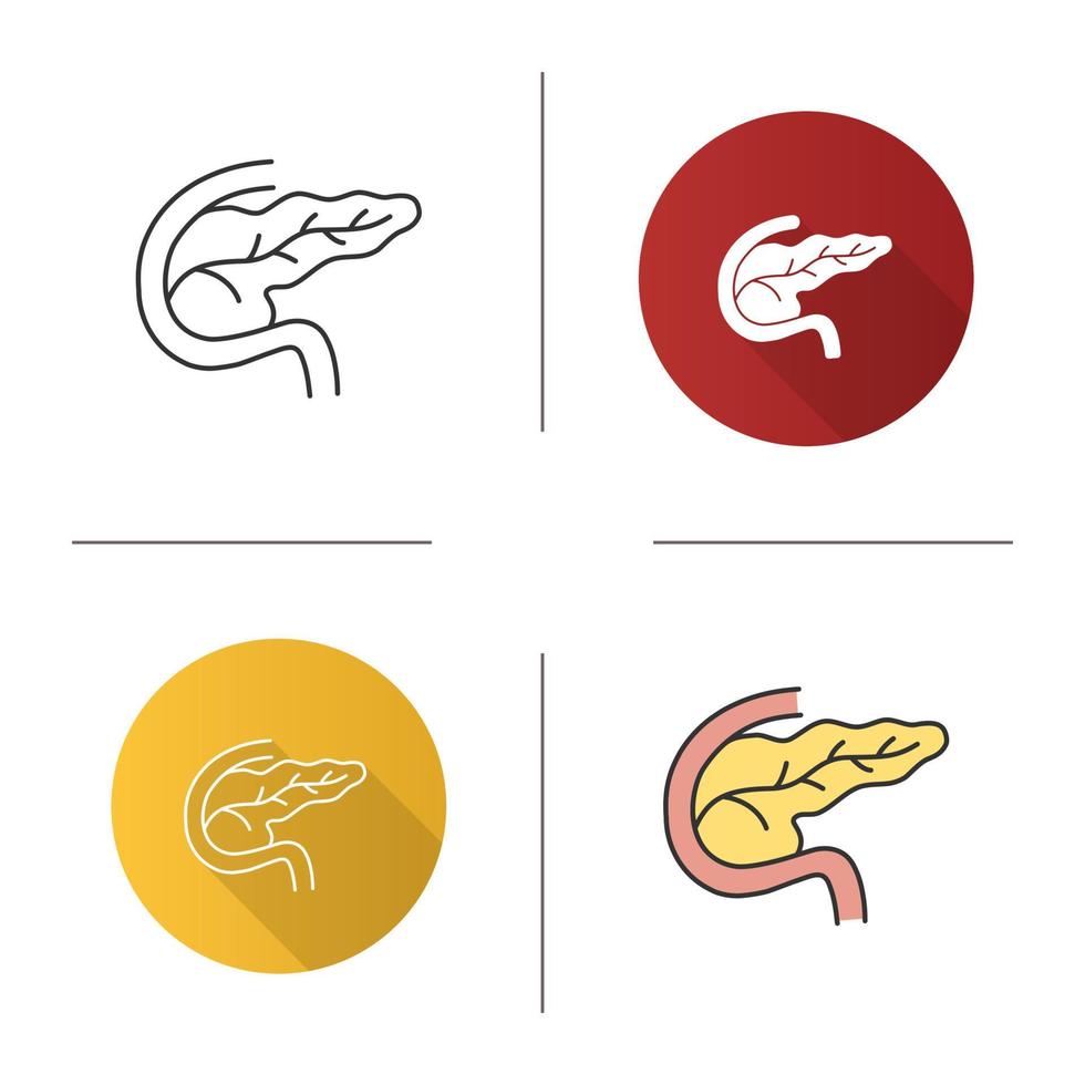 Pancreas and duodenum icon. Digestive and endocrine gland. Flat design, linear and color styles. Isolated vector illustrations