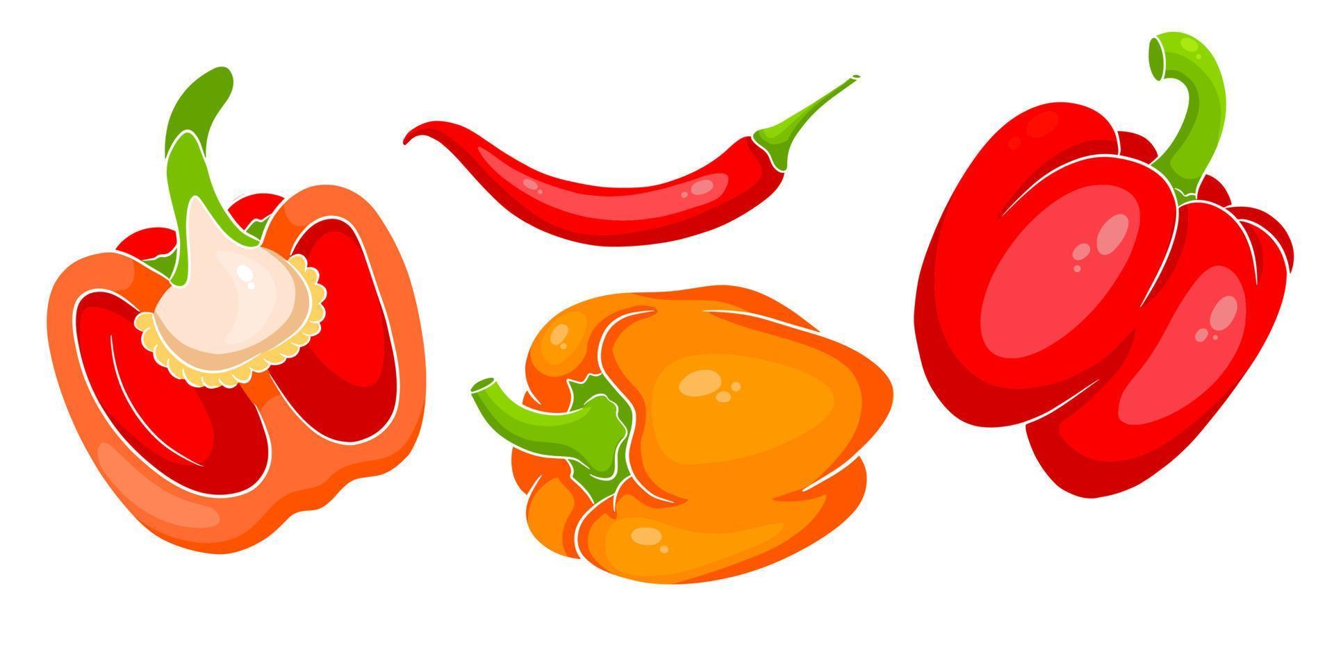 Pepper set. Fresh bell peppers and hot peppers. vector