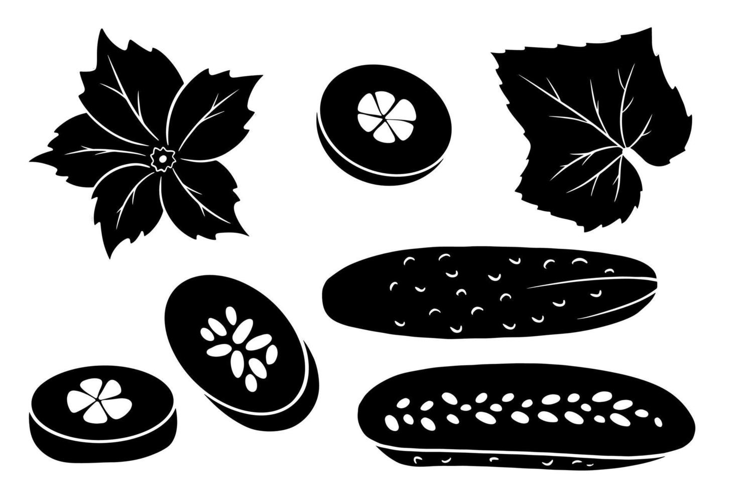 Cucumber set. Fresh cucumbers, wedges, half a cucumber, flower and leaf. vector
