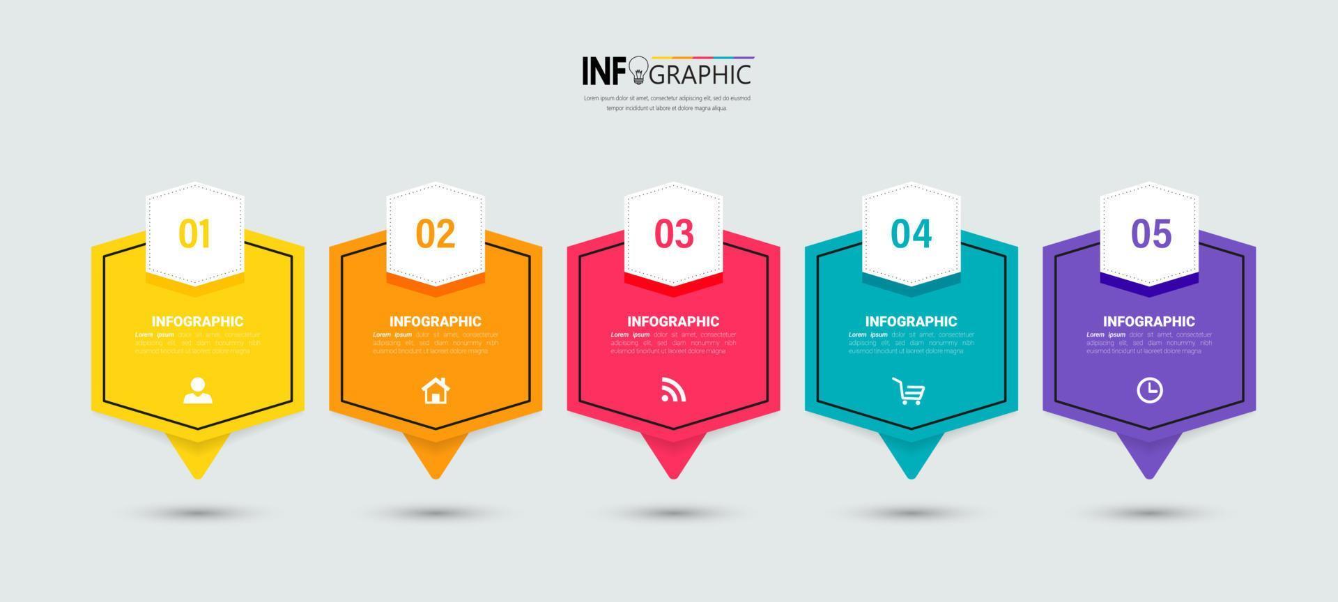 Thin line infographic template vector