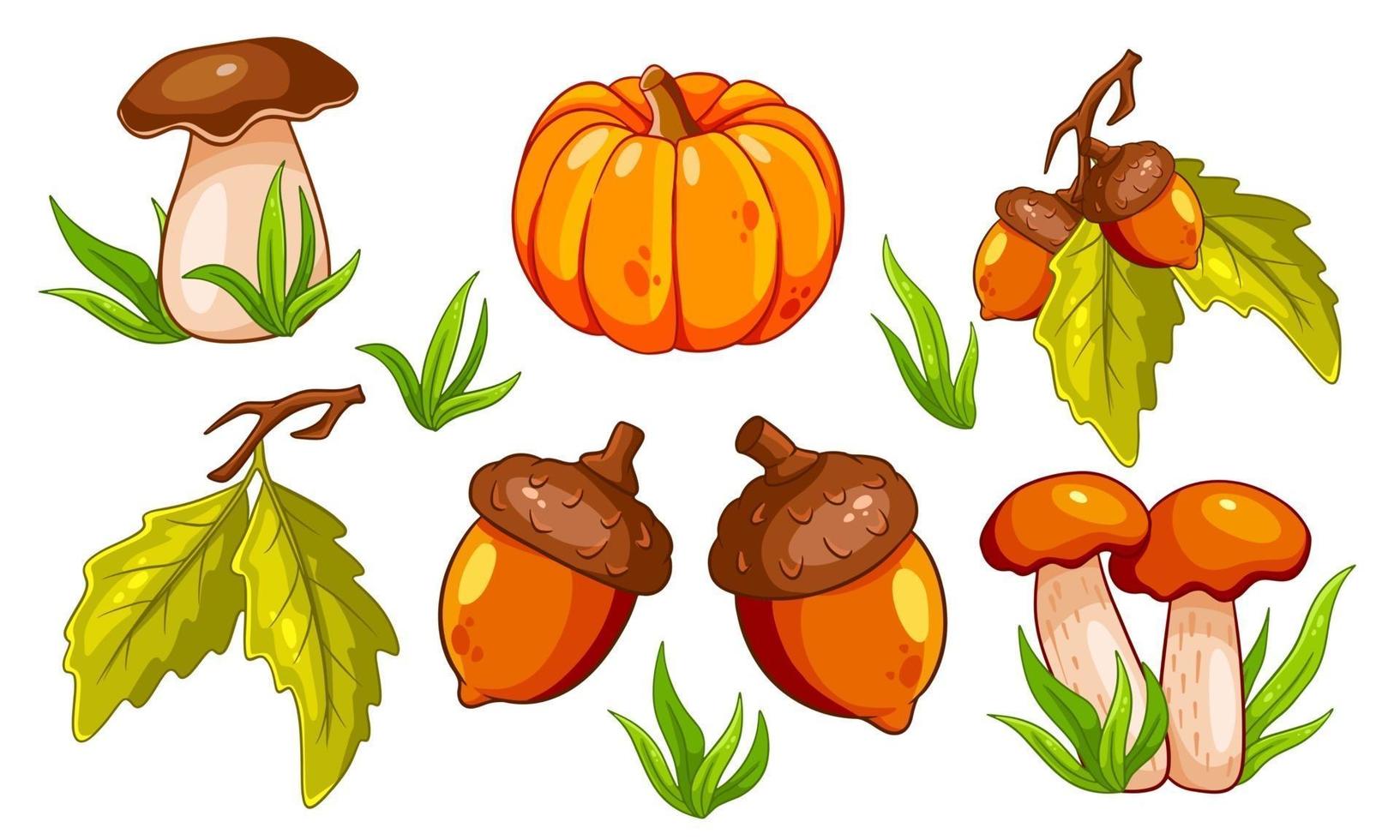 conjunto de otoño. setas, calabaza, bellotas, hierba, hojas de roble. vector