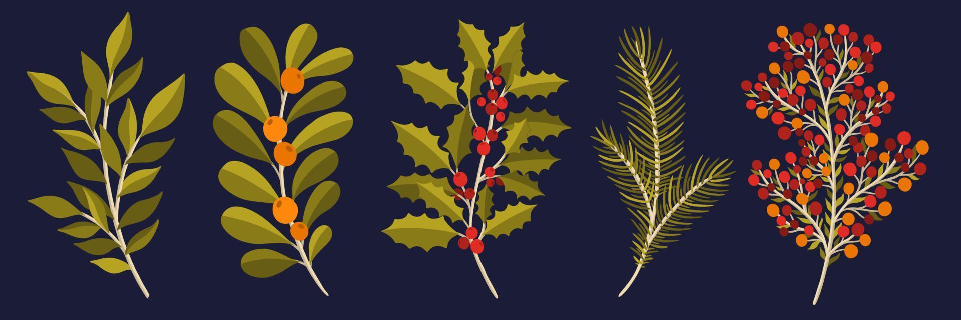 Christmas floral plant set.New year 2021 collection branch leaf.Decoration botanical design. vector