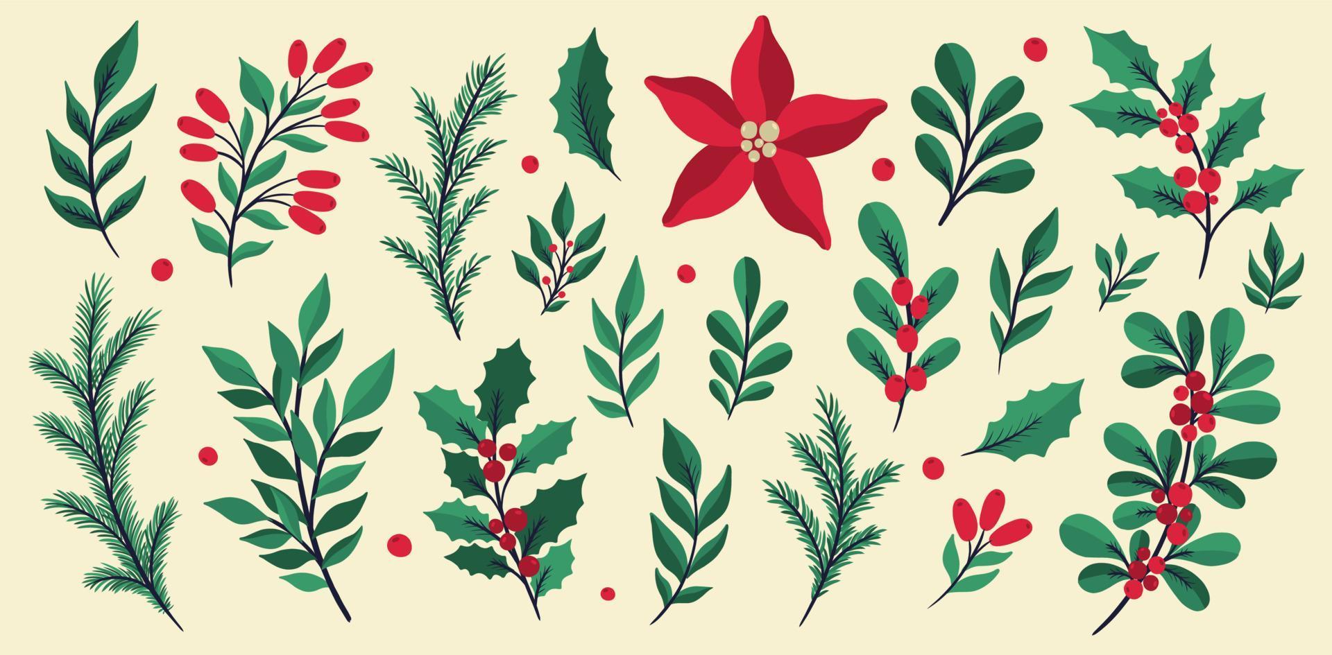 Christmas floral plant set.New year 2021 collection branch leaf.Decoration botanical design. vector