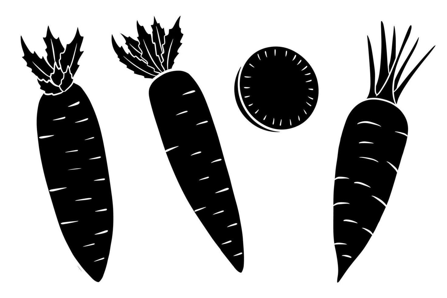 Carrot set. Fresh carrots and slices. Silhouette. vector