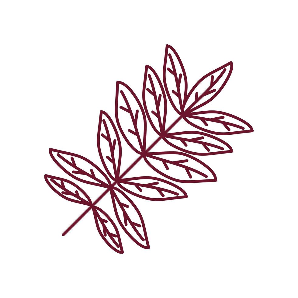branch leaves nature vector