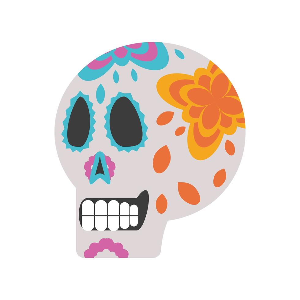 mexican sugar skull vector