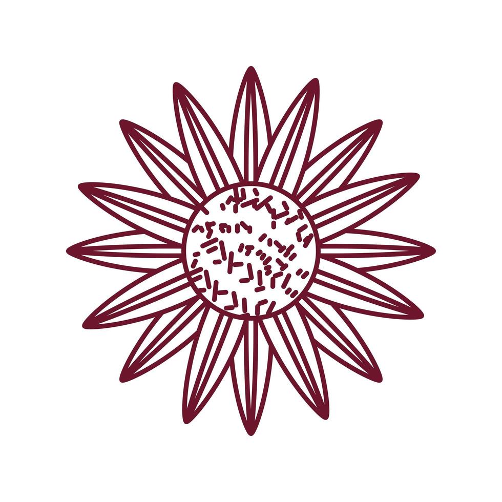sunflower nature decoration vector