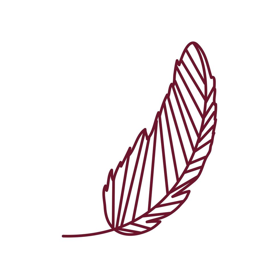 feather decoration icon vector