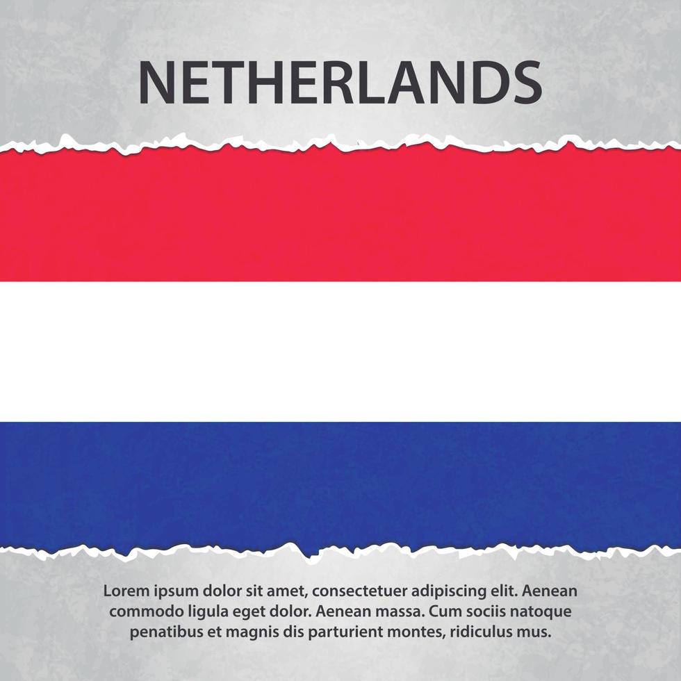 Netherlands flag on torn paper vector