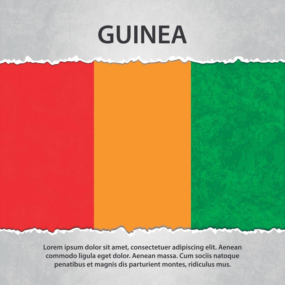Guinea flag on torn paper vector