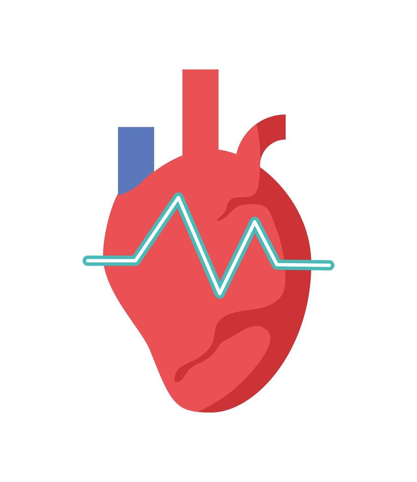 health heart rate vector