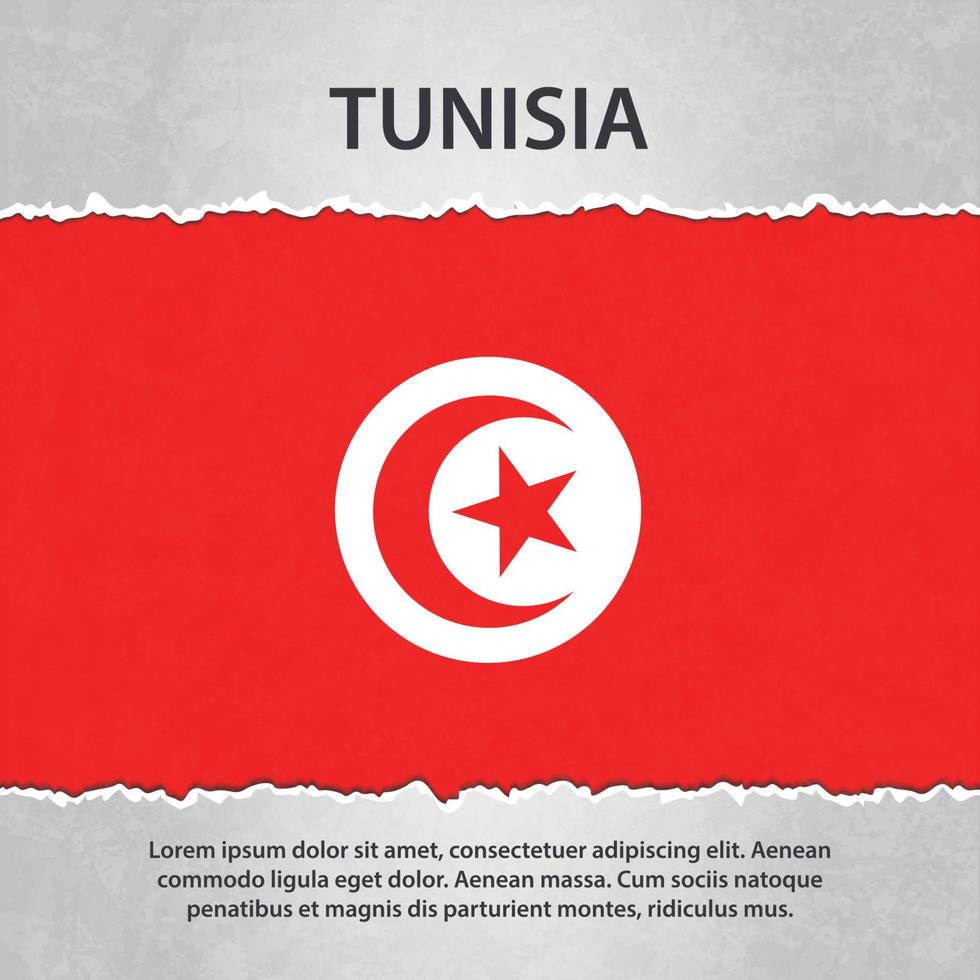 Tunisia flag on torn paper vector