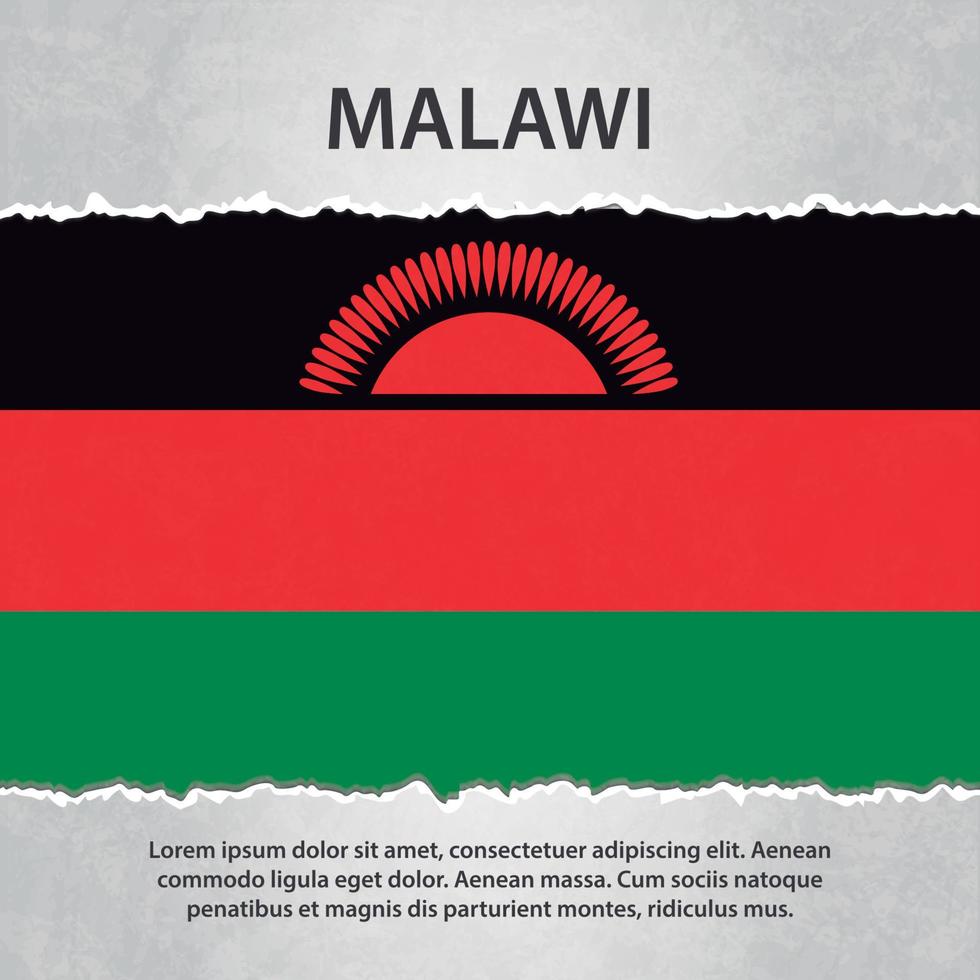 Malawi flag on torn paper vector