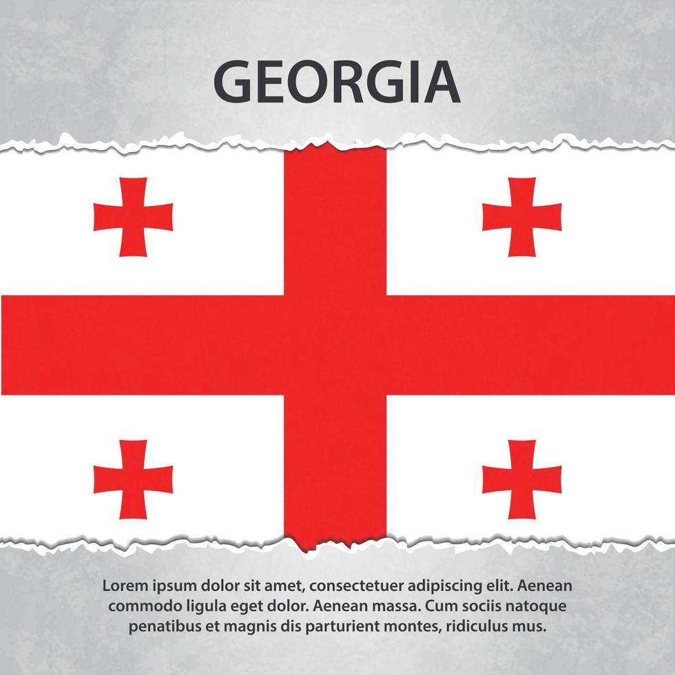 bandera de georgia en papel rasgado vector