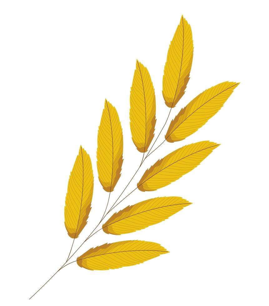 golden lanceolate leaves vector