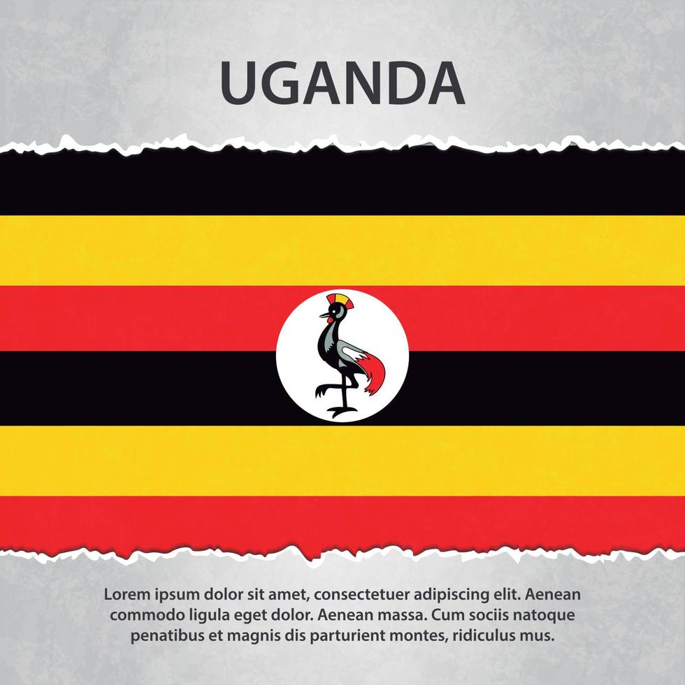 Uganda flag on torn paper vector