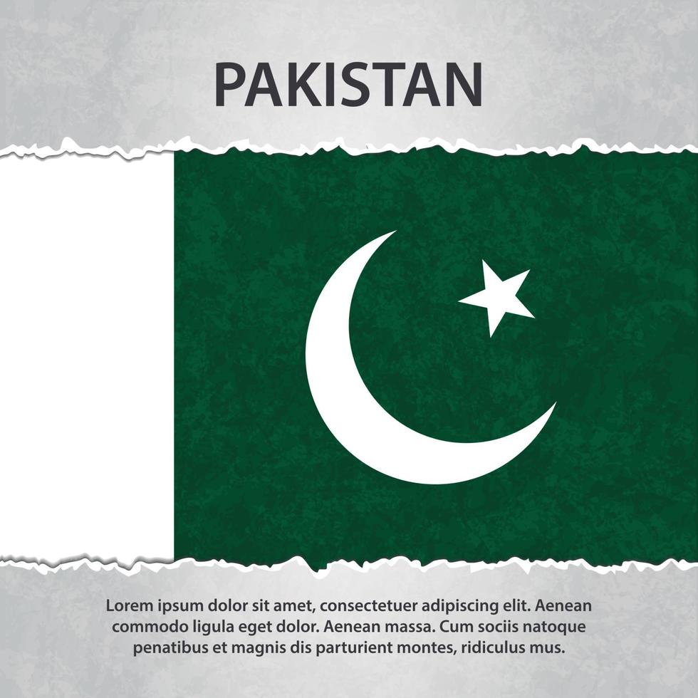 bandera de pakistán en papel rasgado vector