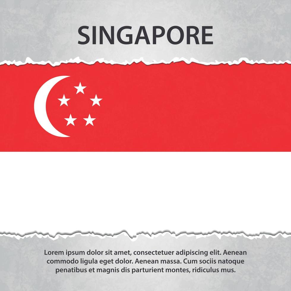 bandera de singapur en papel rasgado vector