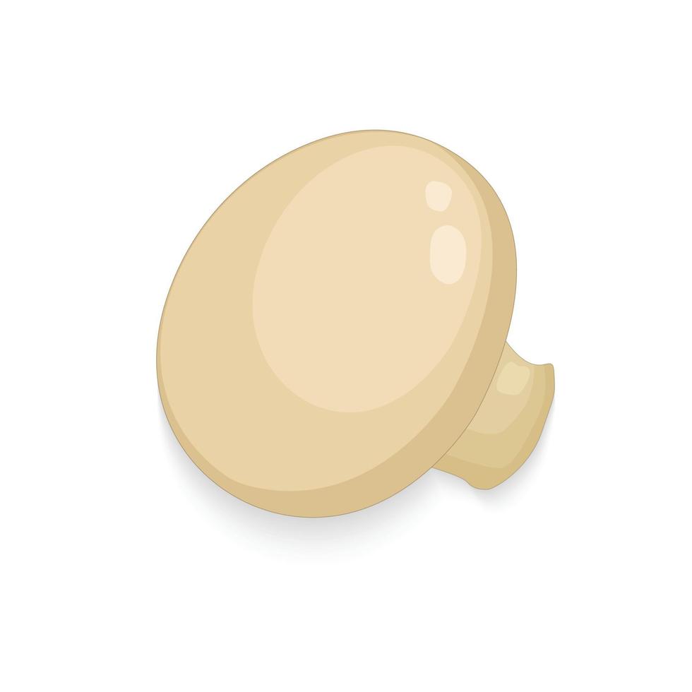 champignon mushroom illustration vector