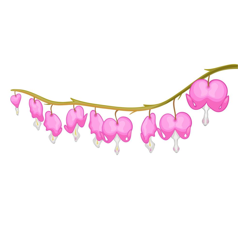 ilustración vectorial dicentra spectabilis plantas y flores. vector