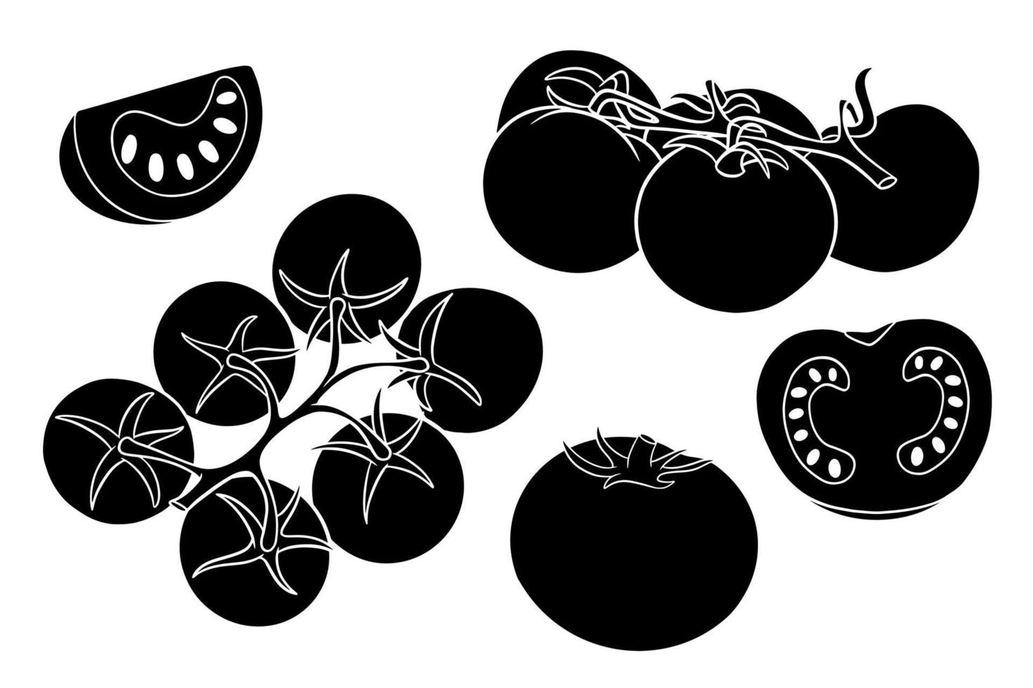 Tomatoes set. Fresh tomatoes, tomatoes on a branch, a wedge and a half. vector