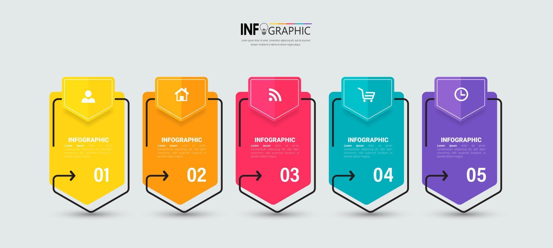 Thin line infographic template vector