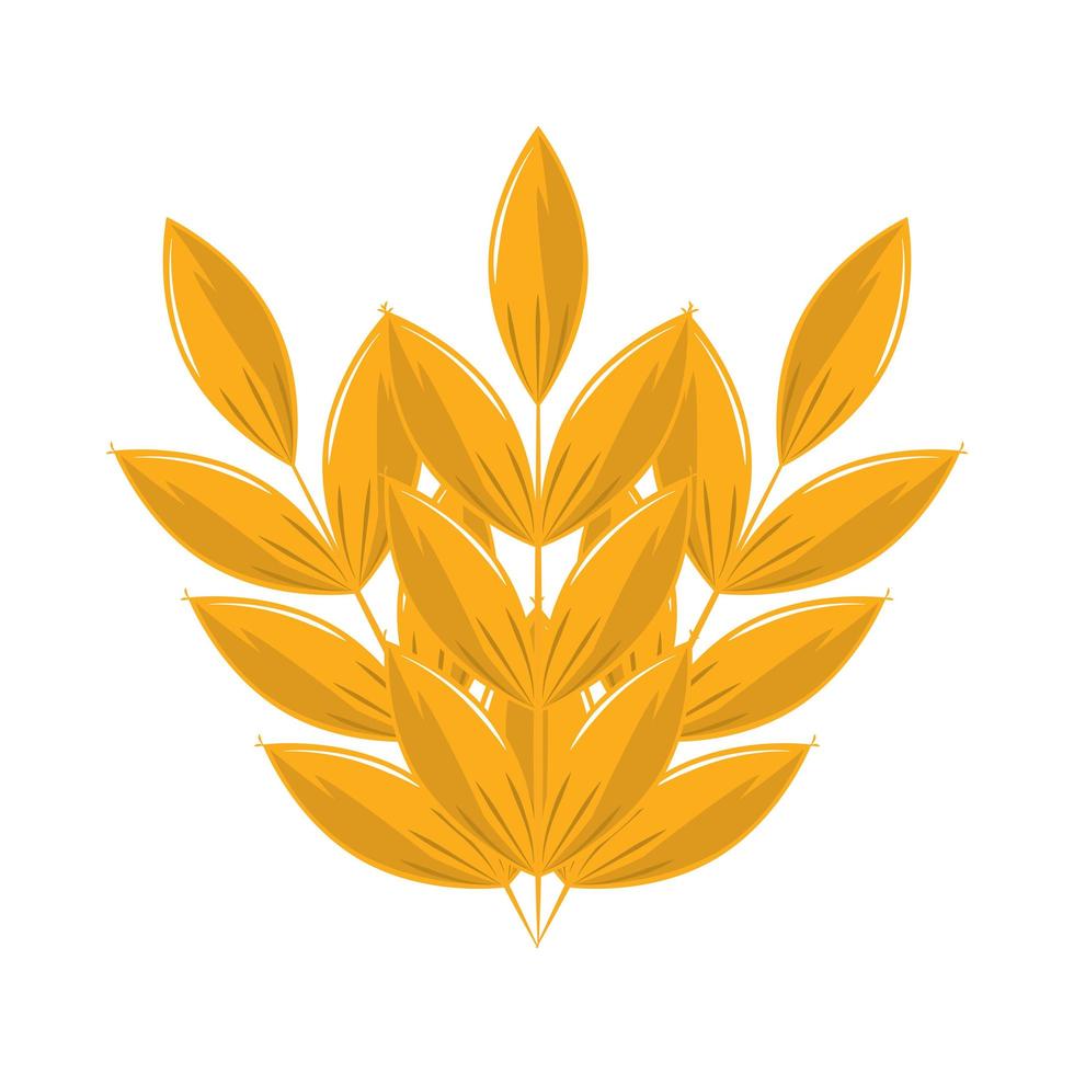 wheat spike branch vector