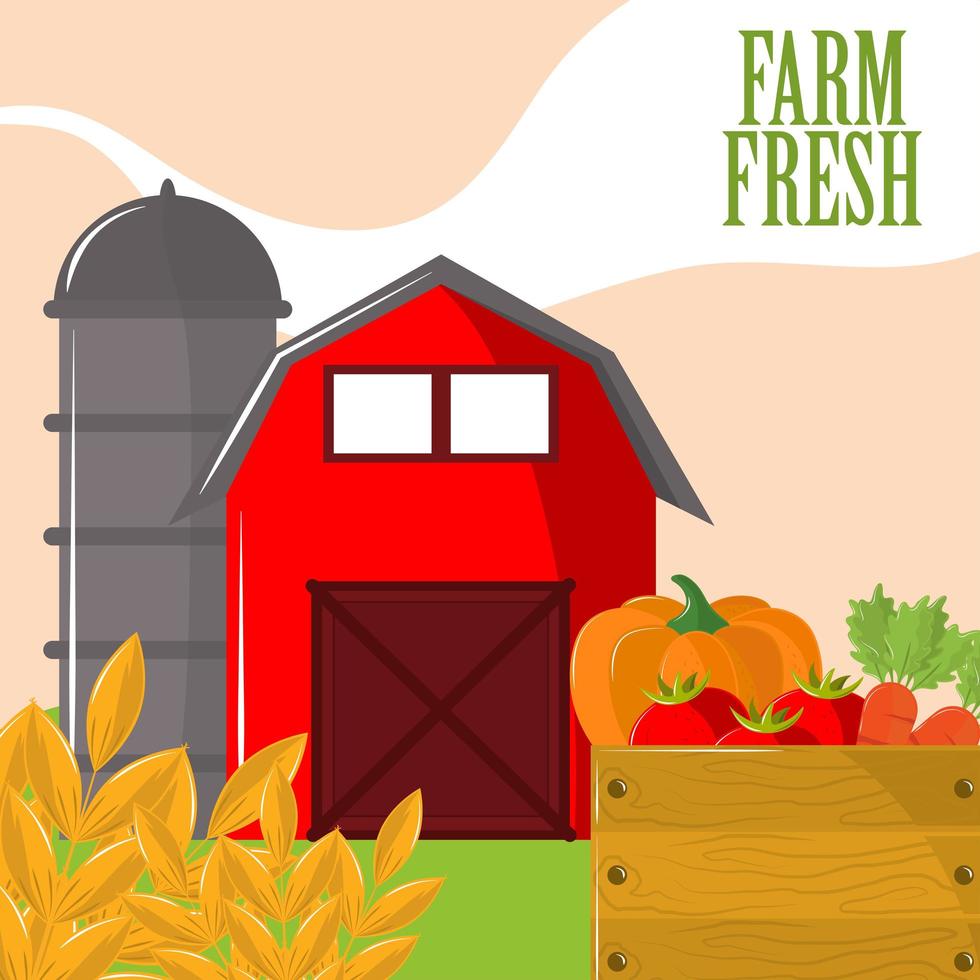 farm fresh products vector