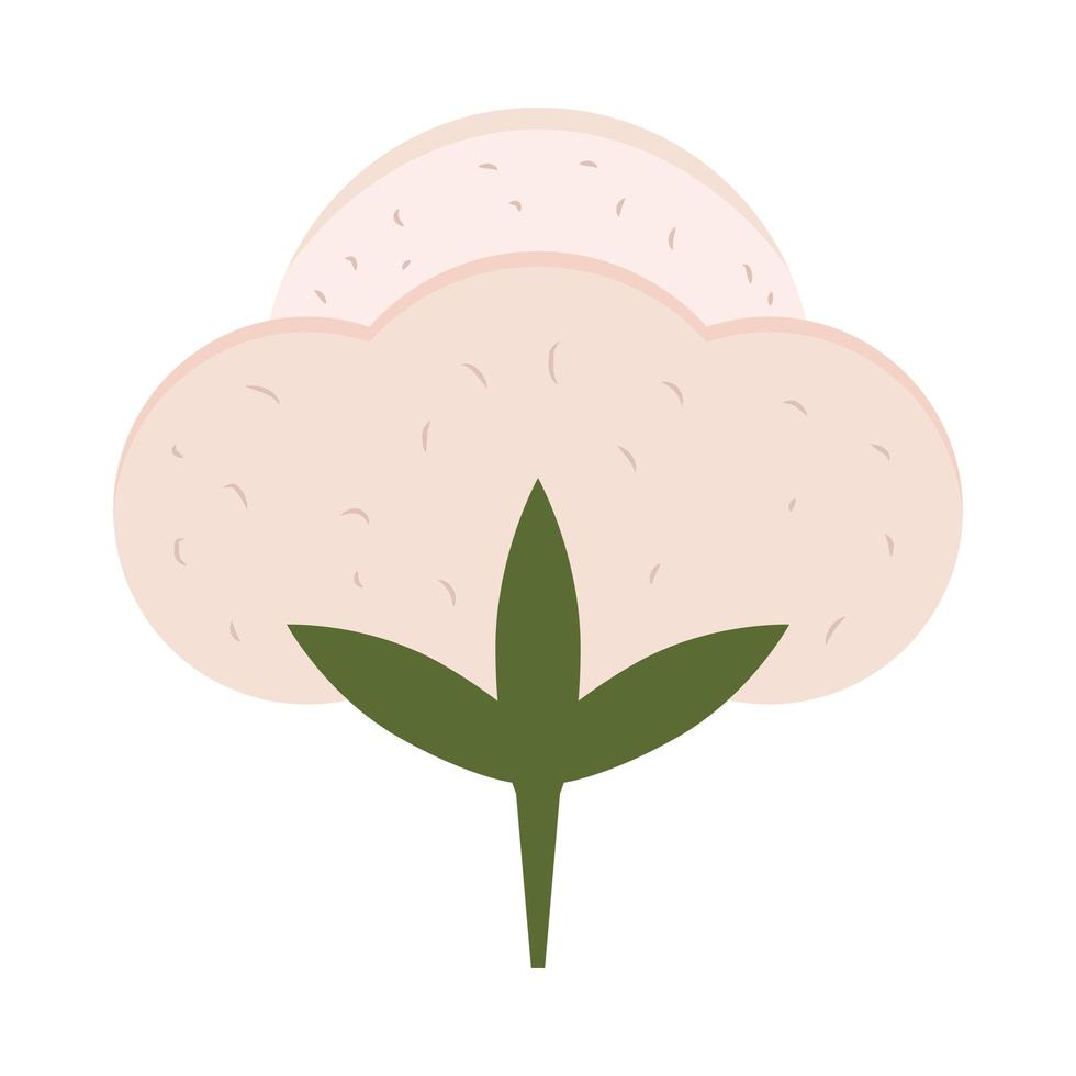 cotton flower vector icon