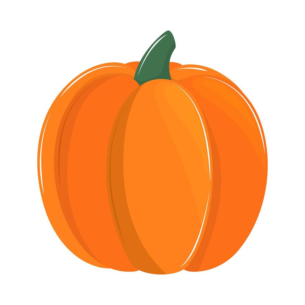 fresh vegetable pumpkin vector