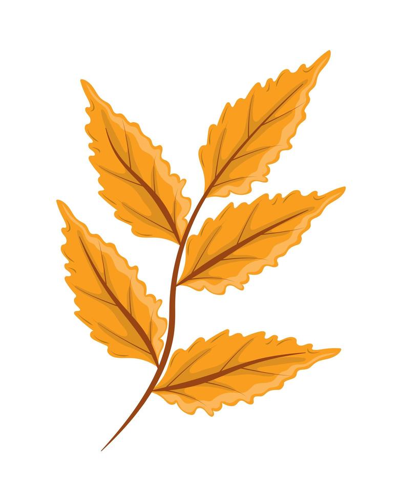 branch leaf autumn vector