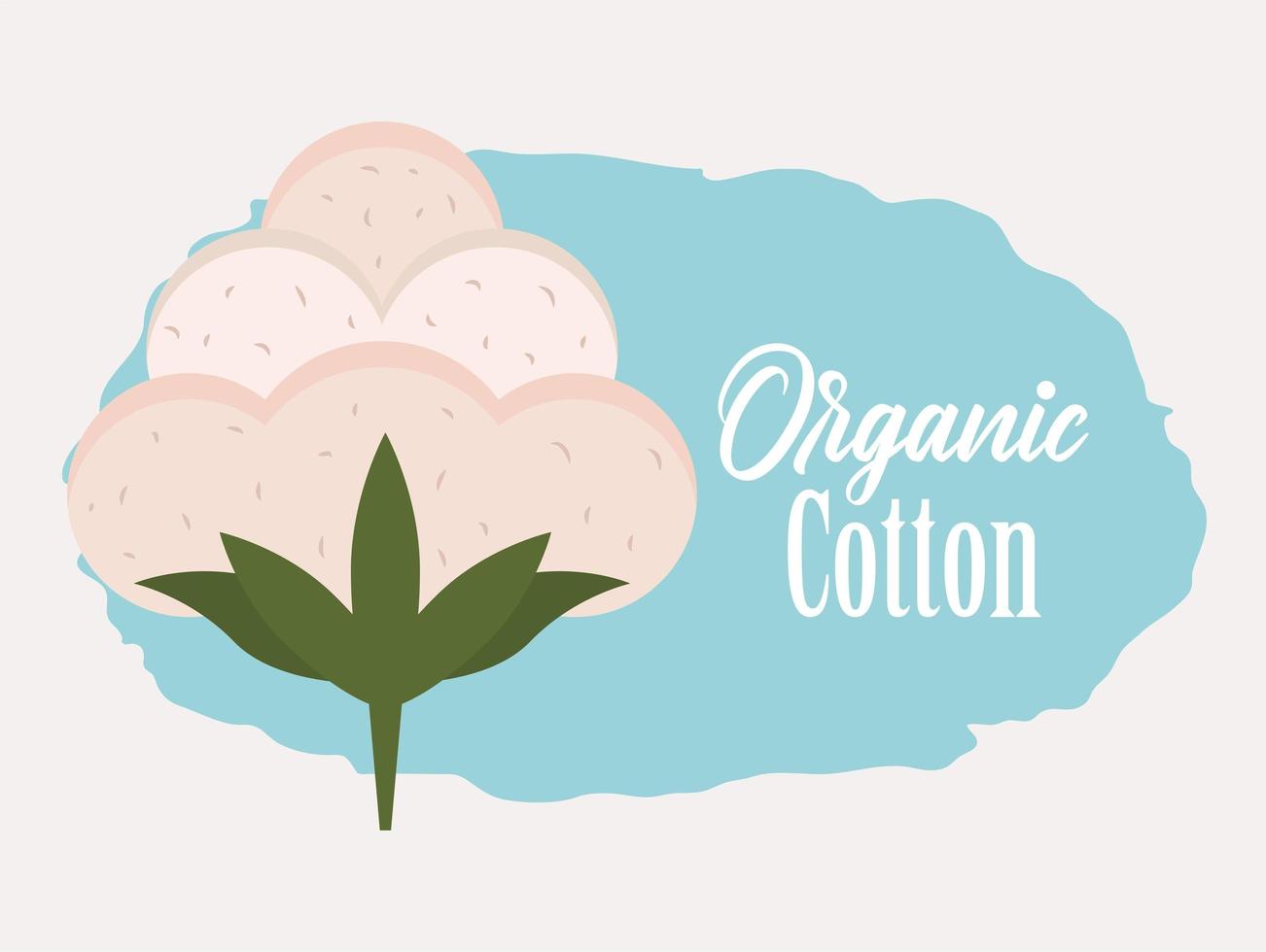 organic cotton flower vector