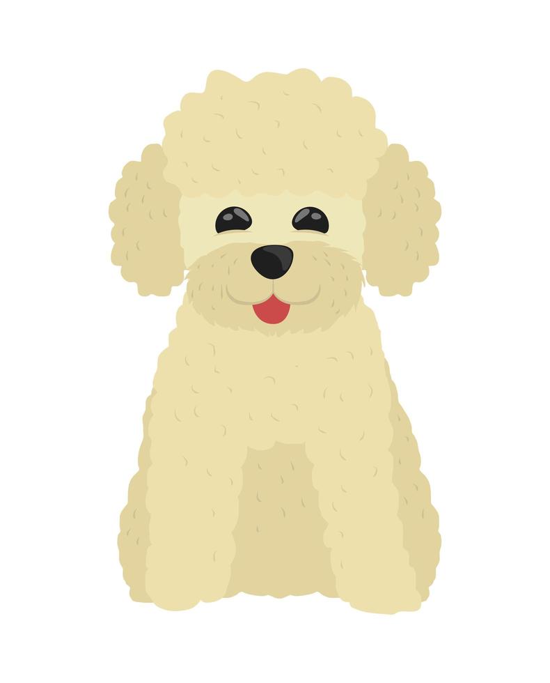 mascota perro caniche vector