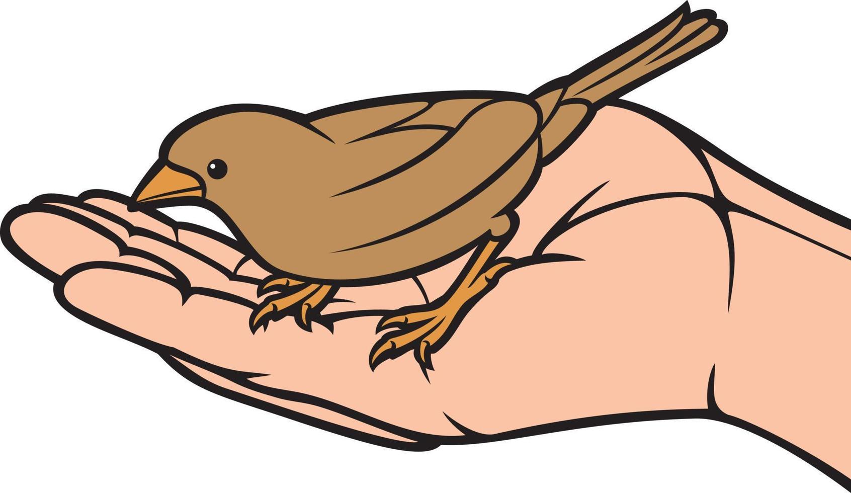 Bird in the Hand 4229756 Vector Art at Vecteezy