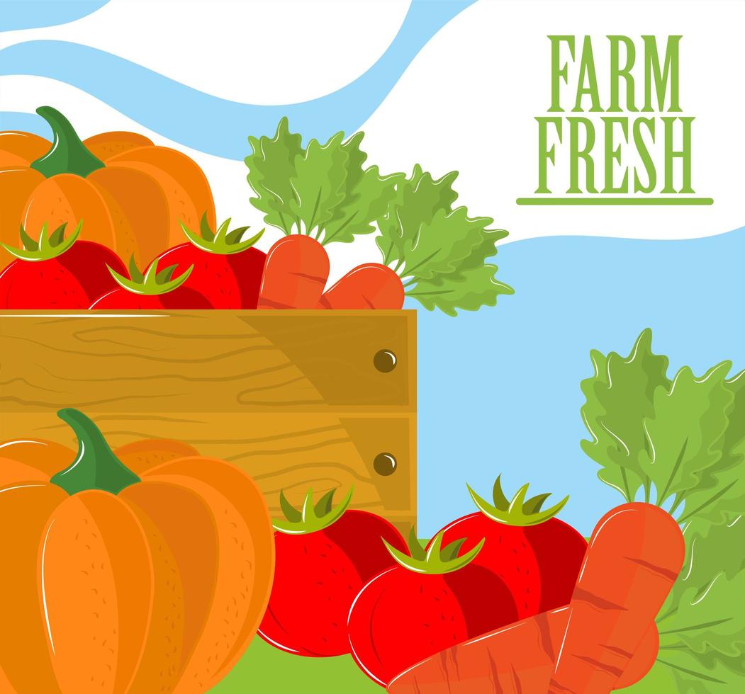 vegetables farm fresh vector