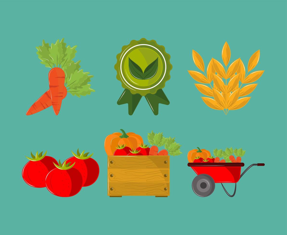 farm fresh produce vector