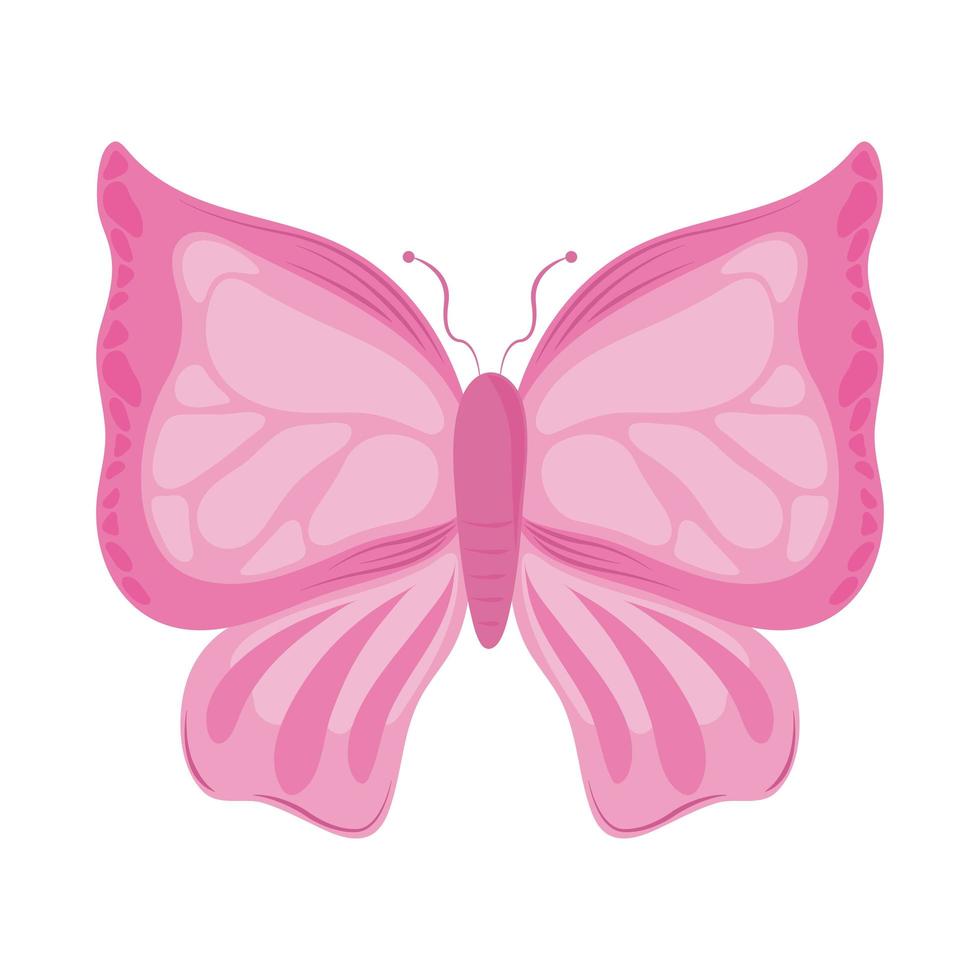 pink butterfly decoration vector