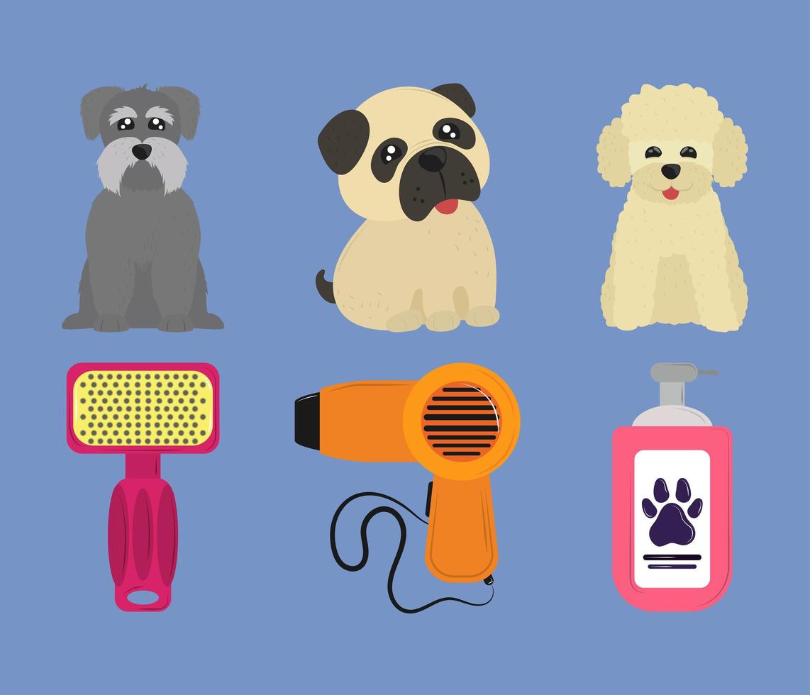 pets grooming set vector