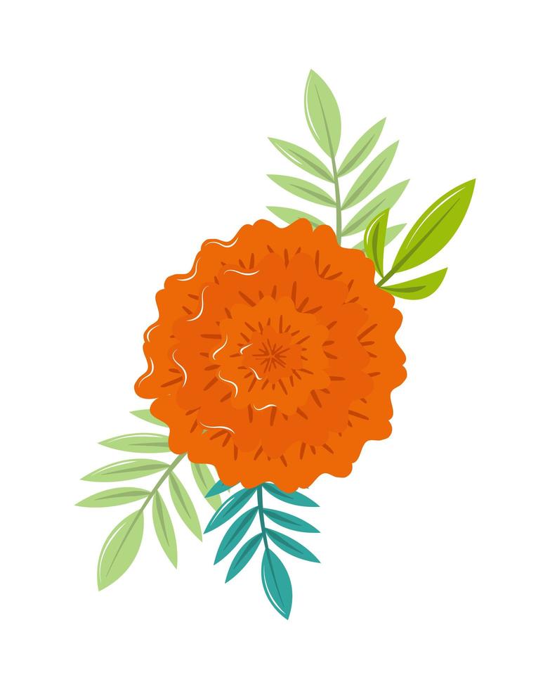 flowers and leaves vector