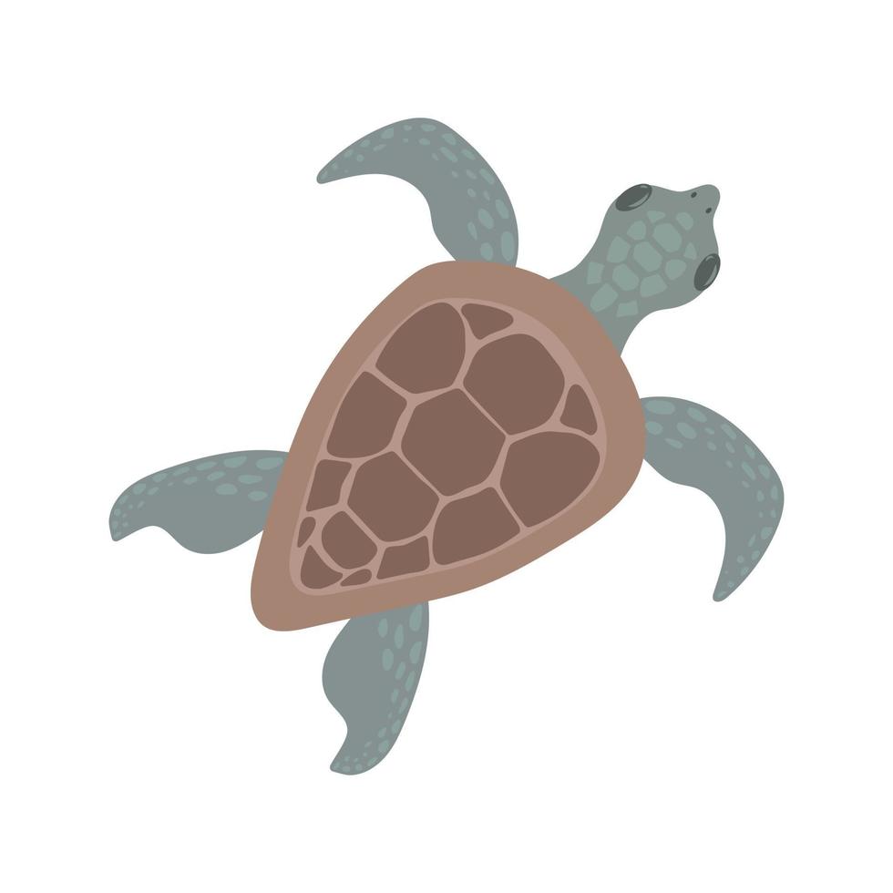 Cartoon sea turtle vector illustration in flat style