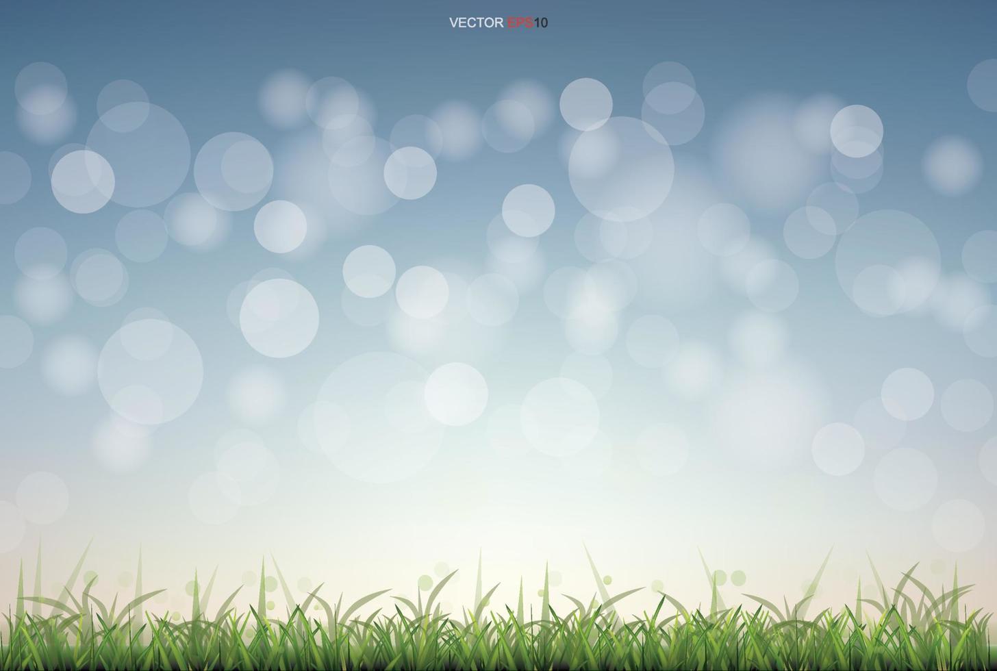 Green grass field with light blurred bokeh background. Vector. vector