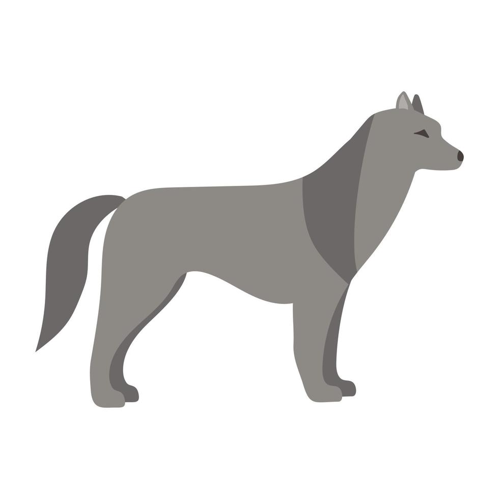 Cartoon illustration of a gray wolf vector