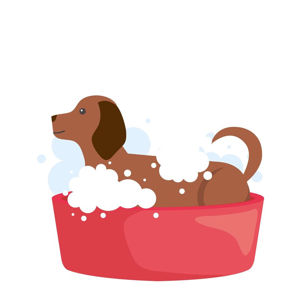 Dog inside bath vector