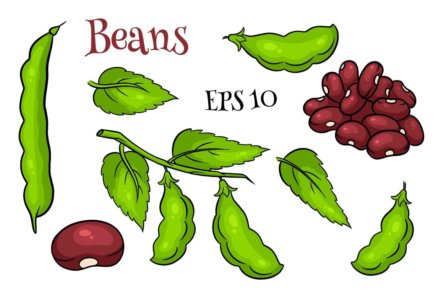 Beans set. Fresh green beans and red beans. vector