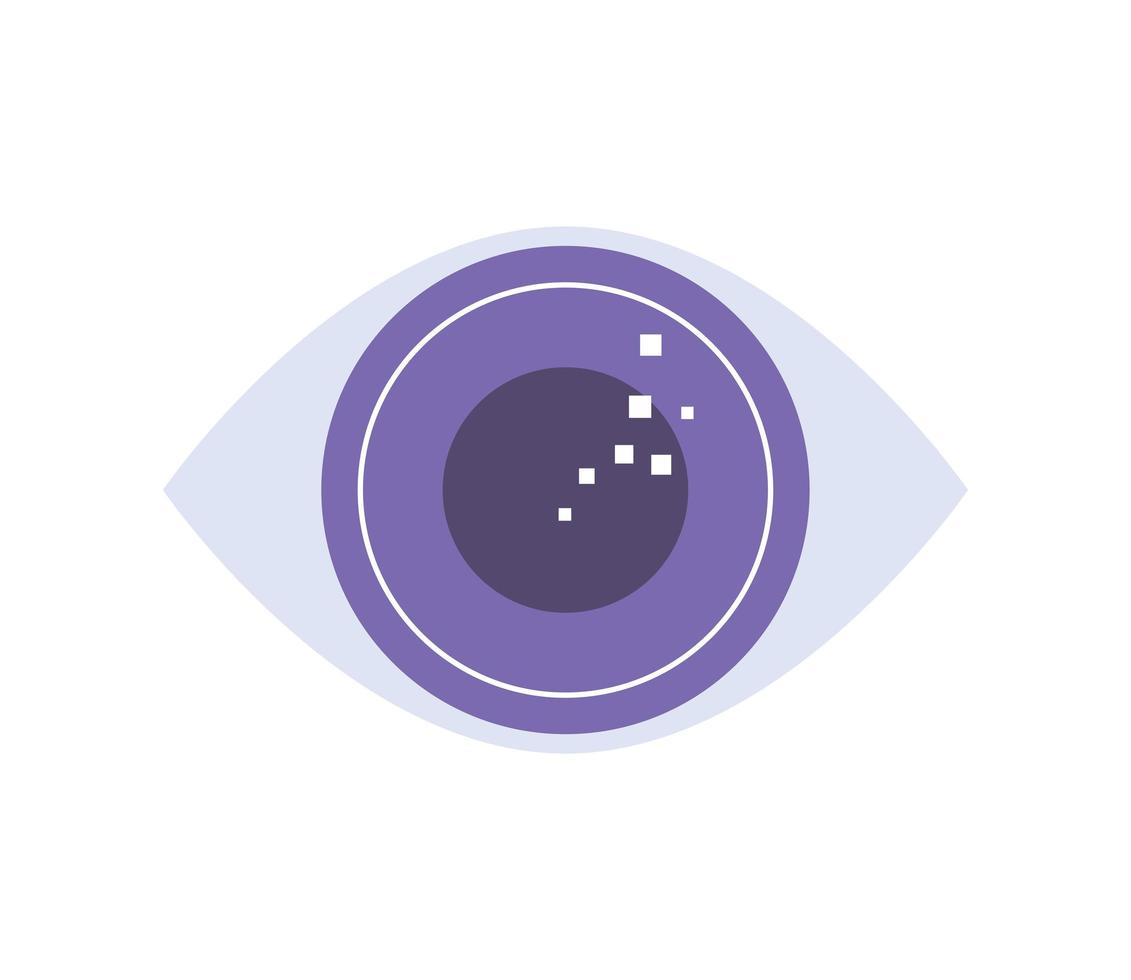 eye vision and observation vector