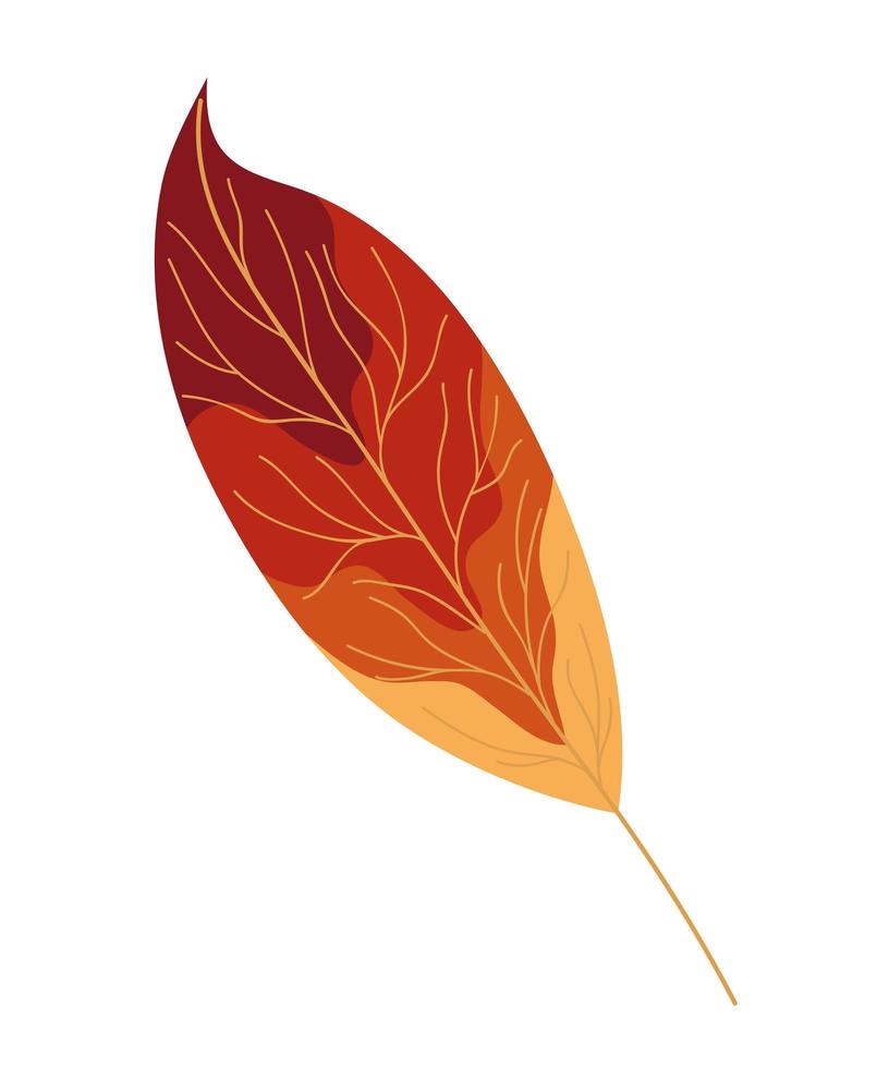 hoja lanceolada de otoño vector