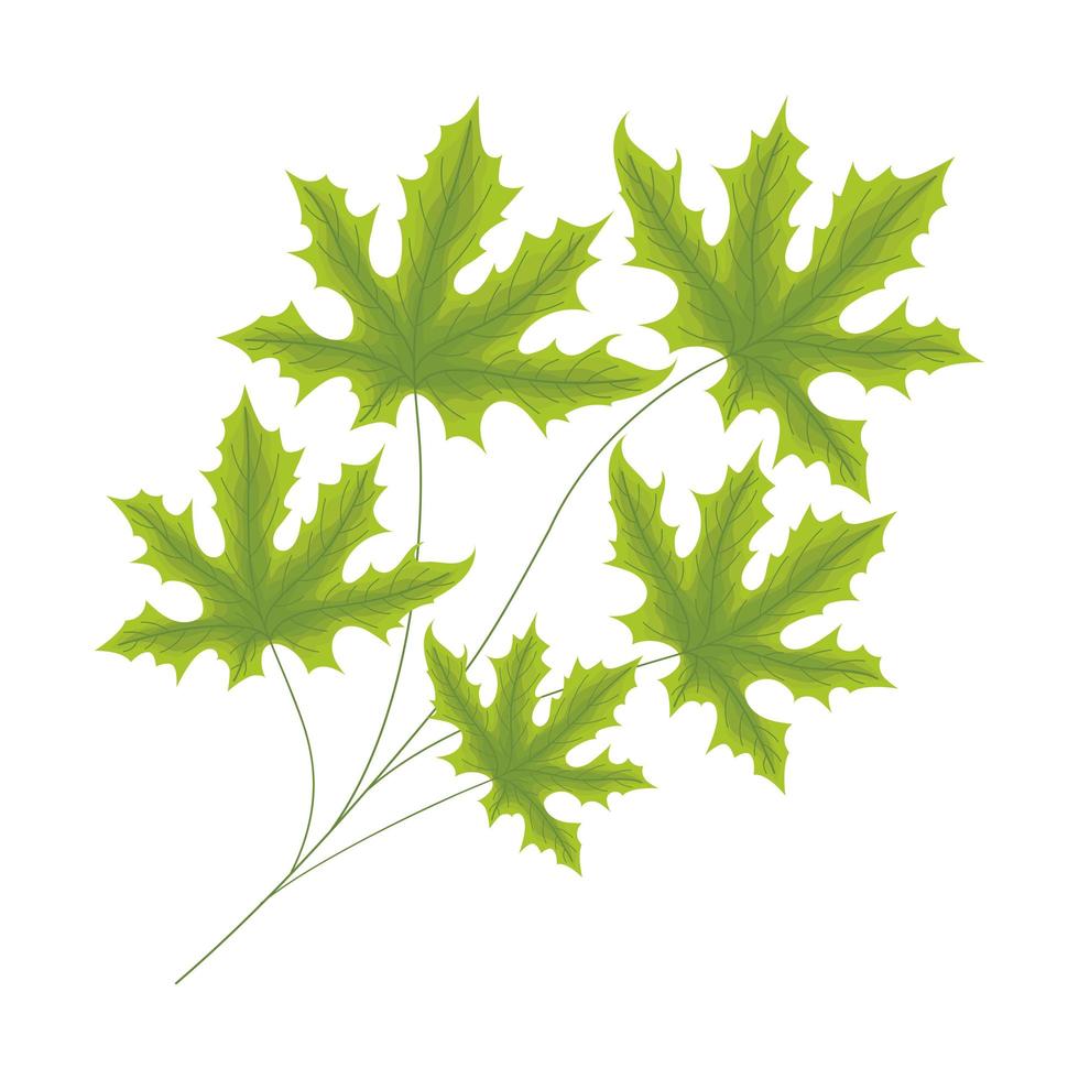 green webbed leaves vector