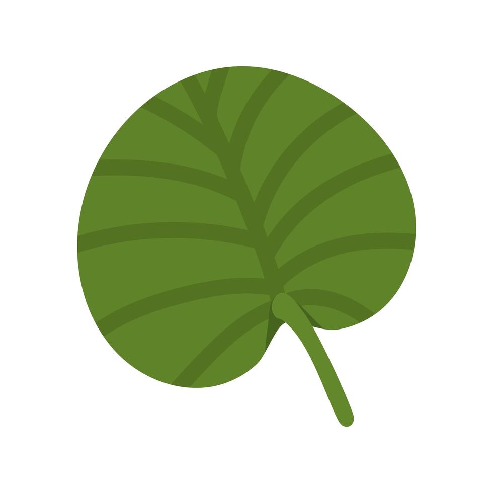 pelted leaf design vector