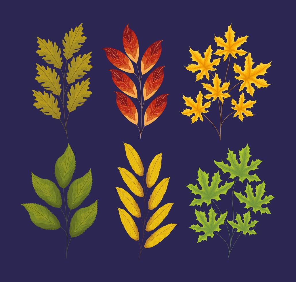 seis ramas de otoño vector